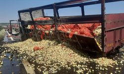 Adana'da arızalanan tırdan inen sürücü kamyonun çarpması sonucu hayatını kaybetti