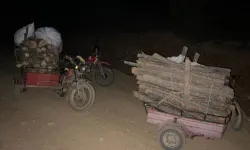 Hatay’da Ormana Girmek Yasakken Ağaç Kesenler Suçüstü Yakalandı!