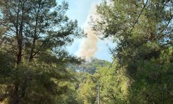 Alanya'da çıkan orman yangınına müdahale ediliyor