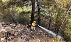 Alanya'da ormanlık alanda çıkan yangın söndürüldü