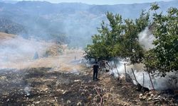 Alanya'da tarım alanında çıkan yangın söndürüldü