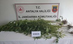 Alanya'da uyuşturucu operasyonunda 4 şüpheli yakalandı