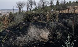 Ankara'da 2 ayda otluk ve ekili alanlarda 2 bin 242 yangın çıktı