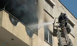 Antalya'da apartmanda çıkan yangında balkonda mahsur kalan kediyi itfaiye kurtardı
