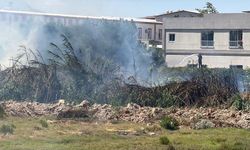 Antalya'da çalılık alanda çıkan yangın söndürüldü