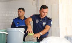 Antalya'da yaklaşık 15 ton süt ürünü imha edildi