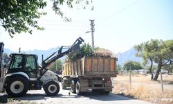 Antalya'da yangın riski taşıyan bölgelerde budama çalışması yapıldı