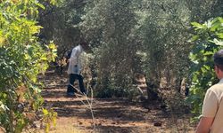 Antalya'da zeytinlik alanda elleri arkadan bağlı olan bir genç ölü olarak bulundu