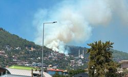Antalya'nın Alanya ilçesinde ormanlık alanda yangın çıktı