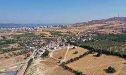 Biyoçeşitliliğe zarar veren orman yangınlarının önlenmesinde kuru ot temizliği önemli