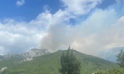 GÜNCELLEME - Antalya'da çıkan orman yangınına müdahale ediliyor