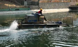 Harbiye’nin Gözde Parkında Kapsamlı Çalışma: Hidro Havuzu Temizlendi!