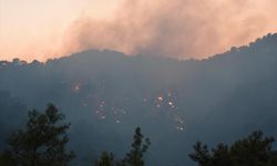 Kemer'de çıkan orman yangınına müdahale ediliyor