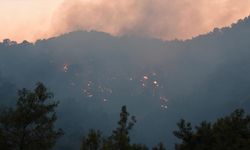 Kemer'deki orman yangını kontrol altına alındı