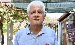 Kızıldeniz'den Akdeniz'e geçen yabancı türler deniz ekosistemindeki dengeleri değiştiriyor