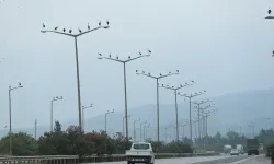 Göç Eden Leylekler Hatay Semalarında Görüntülendi