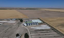 Malya Tarım'da işlenip paketlenen sertifikalı tohumlar çiftçilere bayiler aracılığıyla ulaştırılıyor