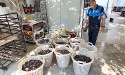 Mersin'de ele geçirilen 200 kilogram bozuk midye dolma imha edildi