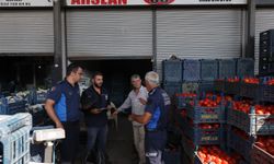 Hatay’da Zabıta Denetimleri Sıkılaştırdı! Hal, Market ve Manavlar Mercek Altında