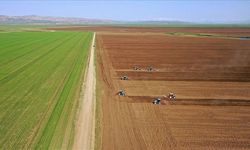 Tarımsal girdi fiyat endeksi haziranda yıllık bazda yüzde 32,06 artarken aylık yüzde 0,92 azaldı