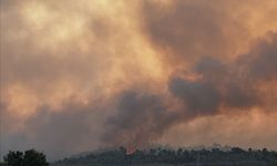 Adana'nın Kozan ilçesinde başlayıp İmamoğlu ve Aladağ ilçelerine sıçrayan orman yangınına müdahale sürüyor