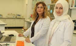 Akademisyenler yumurtalık kanserinin tespitini hızlandıracak test geliştirdi