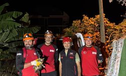 Alanya'da kuyuda mahsur kalan kedi kurtarıldı