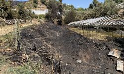 Alanya'da makilik alanda çıkan yangın söndürüldü