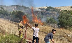 Antakya ilçesinde zeytinlikte çıkan yangın söndürüldü