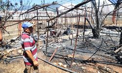 Antalya Büyükşehir Belediyesi, Kaş'taki yangının ardından hasar tespit çalışmalarına başladı
