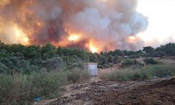 Antalya'da ormanlık alanda çıkan yangına havadan ve karadan müdahale ediliyor