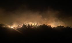 Antalya'da ormanlık ve tarım arazilerinin bulunduğu alanda çıkan yangına müdahale ediliyor