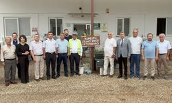 Antalya'da zeytin hasadı başladı