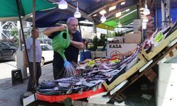 Av sezonunun ilk gününde tezgahlar palamutla doldu