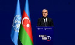 Azerbaycan Dışişleri Bakanı, COP31 konusunda Türkiye'yi desteklemeyi sürdüreceklerini söyledi
