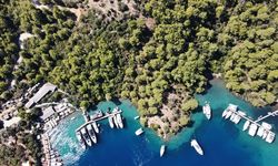 Bedri Rahmi'nin çizdiği balık figürü, Muğla'da ismini taşıyan koyun simgesi oldu