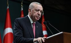 Cumhurbaşkanı Erdoğan'dan Sakarya Zaferi'nin 105. yıl dönümü mesajı