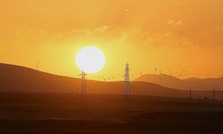 Göçmen kuşların rotası elektrik şebekesindeki önlemleri şekillendiriyor