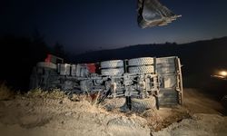GÜNCELLEME 2- Adana'nın Karaisalı ilçesinde orman yangınına müdahale ediliyor