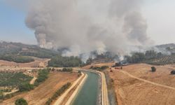 GÜNCELLEME - Adana'daki orman yangını kontrol altına alınmaya çalışılıyor