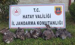 Hatay’da Kovadan Çıkanlar Şoke Etti: Avcıya 1 Milyon 330 Bin TL Ceza!