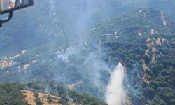Kahramanmaraş'ta çıkan orman yangını kontrol altına alındı