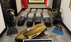 Mersin Limanı'nda kargo gemisindeki aramada 350 kilogram kokain ele geçirildi