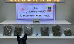 Osmaniye'de yayla evinde 2 kilo 800 gram esrar ele geçirildi