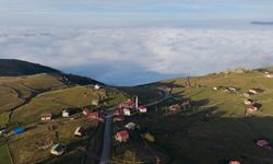 Trabzon'un 'bulutlara komşu' yaylaları sonbahar renklerine bürünüyor