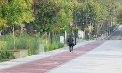Türkiye 'yeşil kampüslerde' Avrupa'nın zirvesinde yer aldı