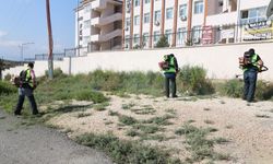 Ders Zili Çalmadan HBB Harekete Geçti: Okul Bahçeleri Yenileniyor
