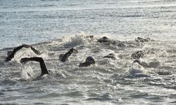 27. Uluslararası Arena AquaChallenge Yüzme Şampiyonası, Marmaris'te başladı