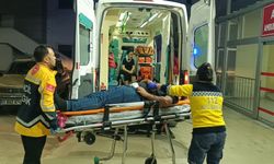 Adana'da park halindeki kamyonete çarpan otomobildeki 2 kişi yaralandı