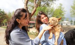 Antalya'da orman yangınından etkilenen 10 hayvan sahiplendirildi